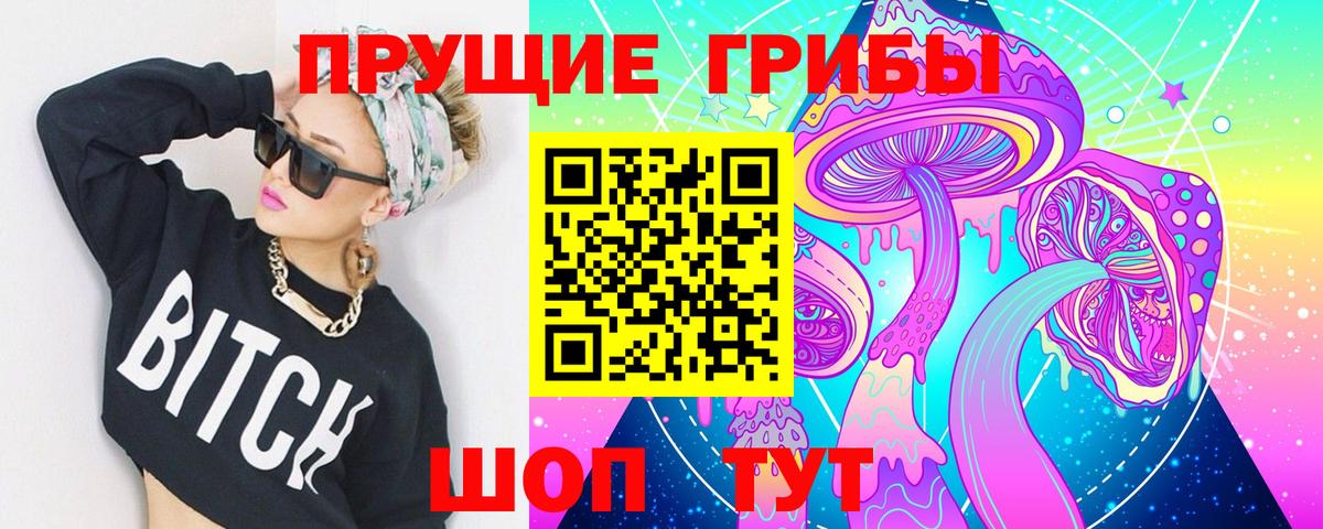 где можно купить наркотик  Вход с VPN  Галлюциногенные грибы мухоморы  Прохладный  Псилоцибиновые грибы мухоморы 